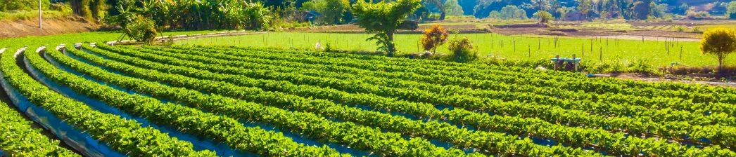 Agriculture & Food