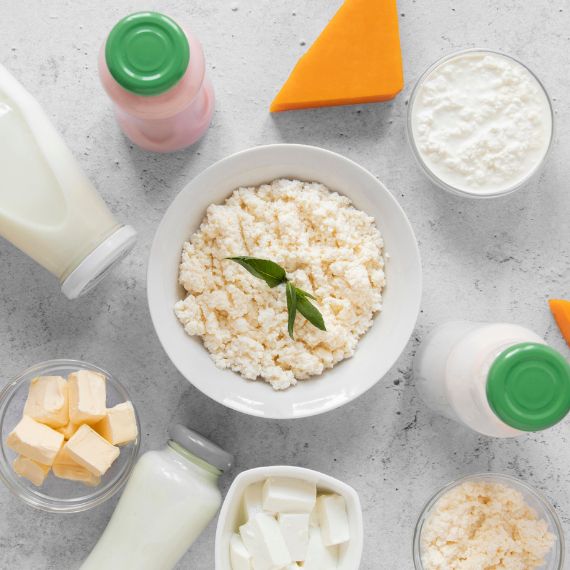 North America Probiotics Market Size and Forecast (2019–2030) – Analysis by Product Type, Distribution Channel and Geography Report